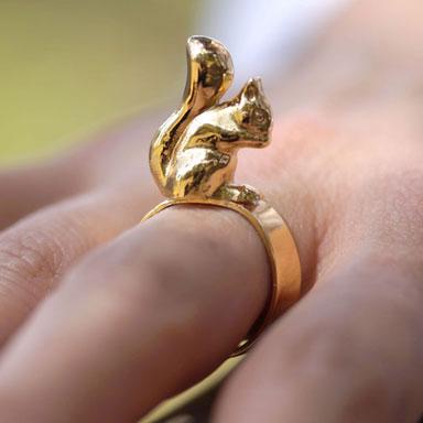 Anillo Ardilla
