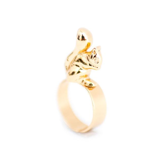 Anillo Ardilla